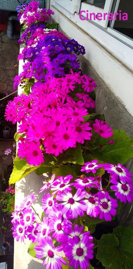 West Point Backpackers Hostel Darjeeling  Exterior foto
